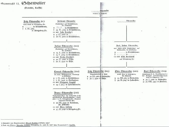 Stammtafel 12 Schawaller 1