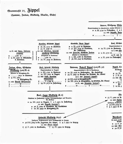 Stammtafel 15 Zippel 1