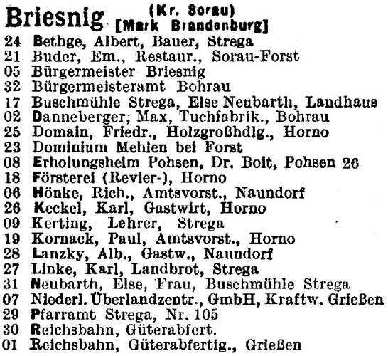 Briesnig mit Strega in Deutsches Reich - Reichstelefonbuch 1942, Band II, S. 1097