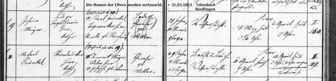 Mayer Johanna + 31.03.1868.jpg