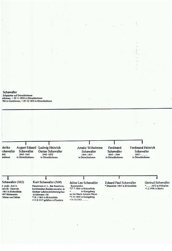 Stammtafel 12 Schawaller 3