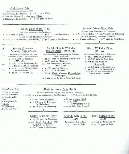 Stammtafel 13 Siehr 2
