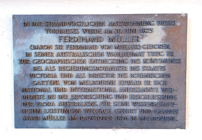 Mönchtor in Rostock 1925_5