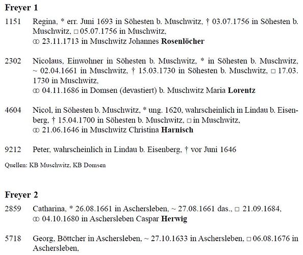 Freyer 1 u. 2 in Ahnenliste Berger SCHRIFTENREIHE DER STIFTUNG STOYE Band 47