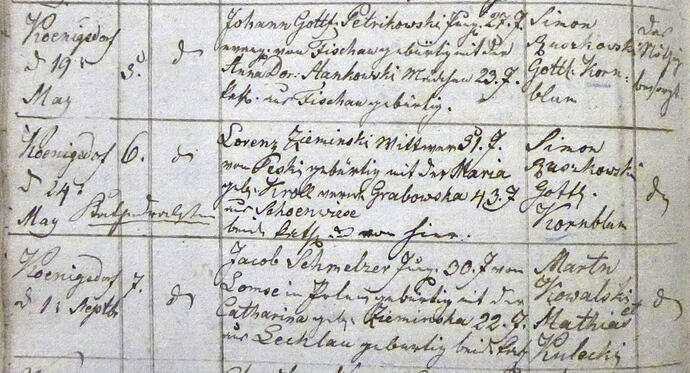 B_1833_Zieminski_Kroll_Köd_Ausschn