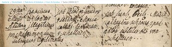 1782-03-29 Gosedop,Franziscus,Antonius Taufe St.Cyriakus,Horn