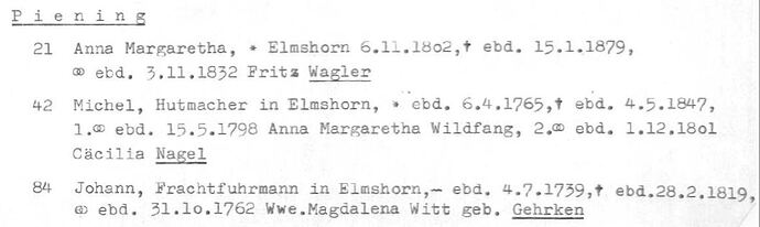 Piening 1 in ALU-Nr. 1284