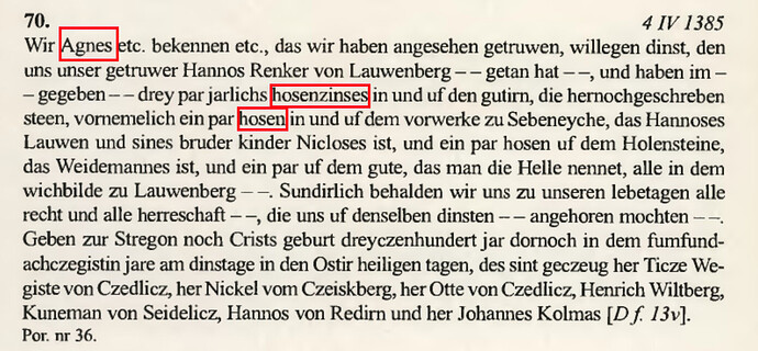 1385-1395 Landbuch I 1385_Agnes und Hosenzins-01