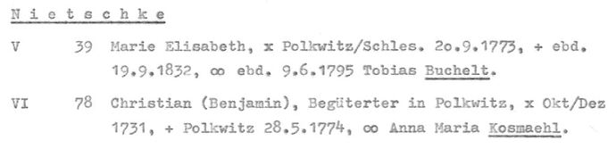 Nietschke in ALU-Nr. 1193